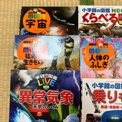 図鑑10冊セットの画像