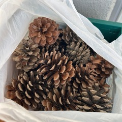 火おこしセット　木炭　松ぼっくり　おがくず　薪の画像