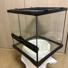 中古　超美品　グラステラリウム 3030 その1　両開き　直接引き取り限定　配送不可　ガラスケージ　爬虫類　両生類の画像