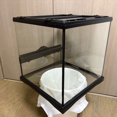 中古　超美品　グラステラリウム 3030 その1　両開き　直接引き取り限定　配送不可　ガラスケージ　爬虫類　両生類の画像