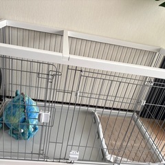 ペット　ゲージ　　ロングの画像