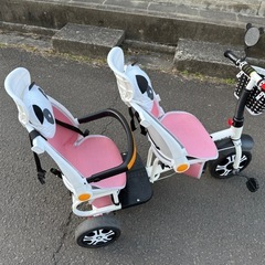 子ども三輪車 2人乗りの画像