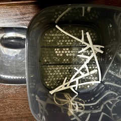 PIGEON ピジョン POCHITTO ポチット 哺乳瓶　除菌　乾燥の画像