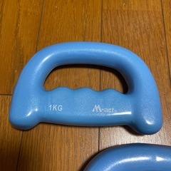 ウォーキングダンベル 鉄アレイ 1㎏×2の画像