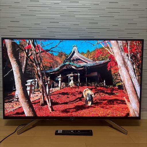 SONY ソニー 43V型 液晶 テレビ ブラビア 4K KJ-43X8500F