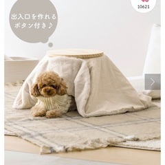 ペット用こたつの画像