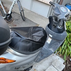 スズキレッツ5の画像