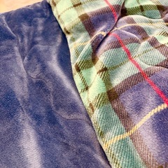 コタツ布団  ニトリの画像