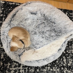 犬用ベッド(大)の画像
