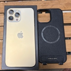iPhone 13 pro max
の画像
