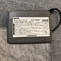 ホットカーペットの画像