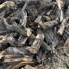 無料薪‼️(訳あり)の画像