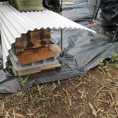 初心者用・巣箱/3段式（ハチミツ沢山溜まります）置くだけの巣箱・後ろ開き戸付き・ 無料特典有の画像