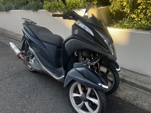 トリシティ