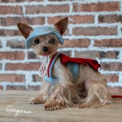 スワロフスキー　Sサイズ　犬服の画像