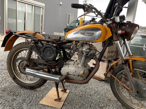 [超希少]1960年代 Ducati 250 Scrambler ナローケース 不動 即決95万 宇都宮