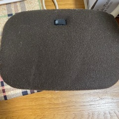 電気ゆたんぽの画像