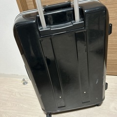 Lサイズ　フレームキャリーケース
の画像