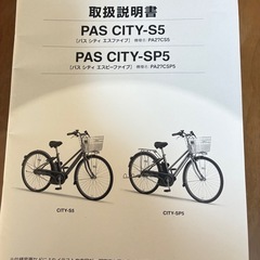 ヤマハPASの画像