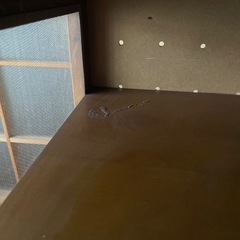 昭和レトロ　水屋　網戸　戸棚　キャスター付き　ラックの画像