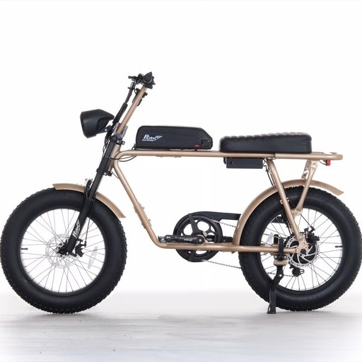 FLOW BIKE フローバイク 正規品　シャンパンゴールド