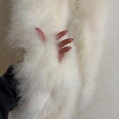 無料　ファーショールの画像