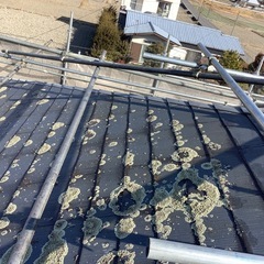 今年で43年地元倉敷で塗装の事なら是非お声がけ下さい！ - 悩み相談