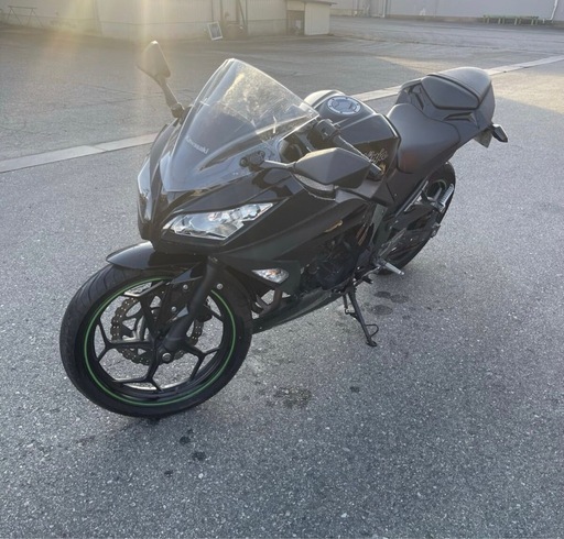Kawasaki Ninja 300｜EX300A｜実走行2.6万km｜エンジン始動OK・走行可能｜外装割れあり