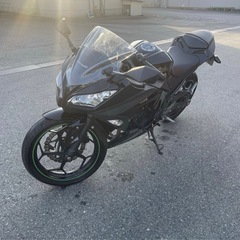Kawasaki Ninja 300｜EX300A｜実走行2.6万km｜エンジン始動OK・走行可能｜外装割れありの画像