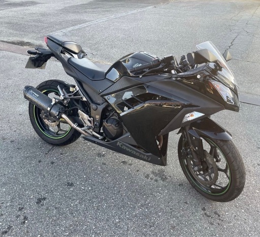 Kawasaki Ninja 300｜EX300A｜実走行2.6万km｜エンジン始動OK・走行可能｜外装割れあり