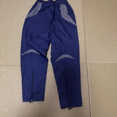 デスポルチ　ピステの画像