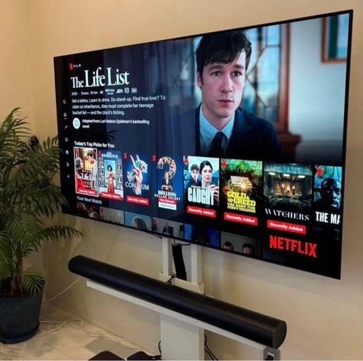 家電 LG TV