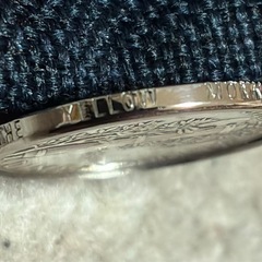 激レア【イエローモンキー・THE YELLOW MONKEY 吉井和哉 コインネックレス・ペンダント　ロビン】の画像