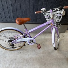 子供用自転車 玉越工業[TAMAKOSHI]マハロジュニア 22インチの画像