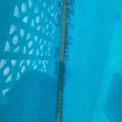 サーフボード　
ロングの画像