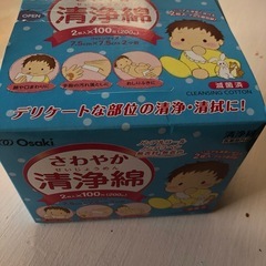 [未使用品]水遊び用スイミングパンツbigサイズ４袋と洗浄綿の画像