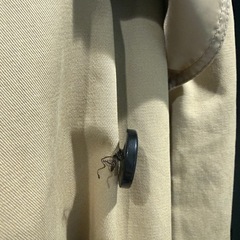 IMAGE ライナー付きトレンチコートの画像