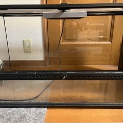 エキゾテラ グラステラリウム 9045の画像