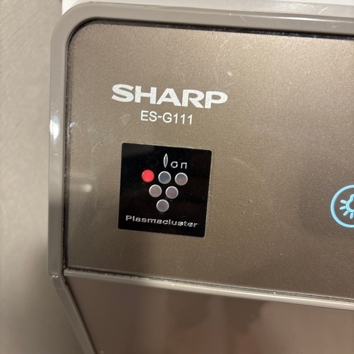 シャープ SHARP ドラム式洗濯乾燥機(ヒートポンプ乾燥) ゴールド系 右開き(ヒンジ右) 　洗濯11kg/乾燥6kg ES-G11