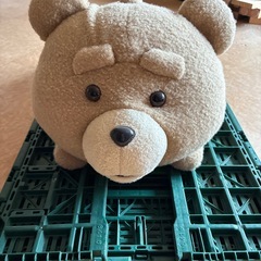 Tedぬいぐるみの画像