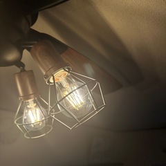 シーリングファン付き照明の画像