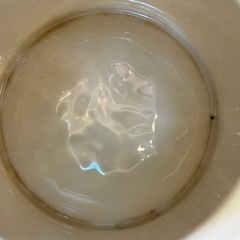 A8072【ロイヤルコペンハーゲン】フリセンボー ティーポット 廃盤 アンティークの画像