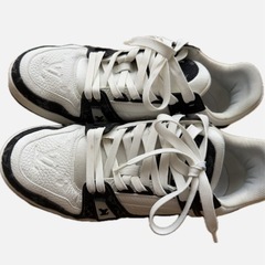 ルイヴィトン靴の画像