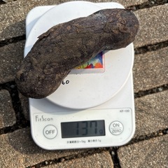 じゃがいもシャドークイーン
(昨年の収穫)の画像