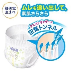 メリーズMパンツの画像