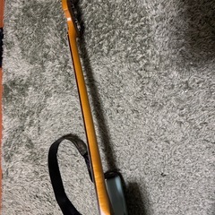 Edwards エレキベースの画像