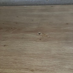 ＊（只今お話し中　Hs様）
棚の画像