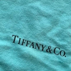 𝐓𝐢𝐟𝐟𝐚𝐧𝐲 𝐂𝐨 バッグ ✨️ 未使用に近いですの画像