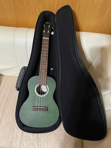 Cordoba ウクレレ 15CFM グリーン ケース付き