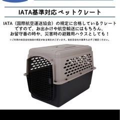 大型犬用クレートの画像